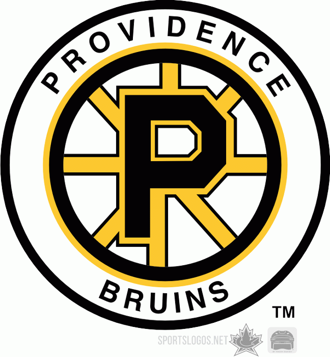 Providence Bruins 1995 96-2011 12 Alternate Logo iron on paper